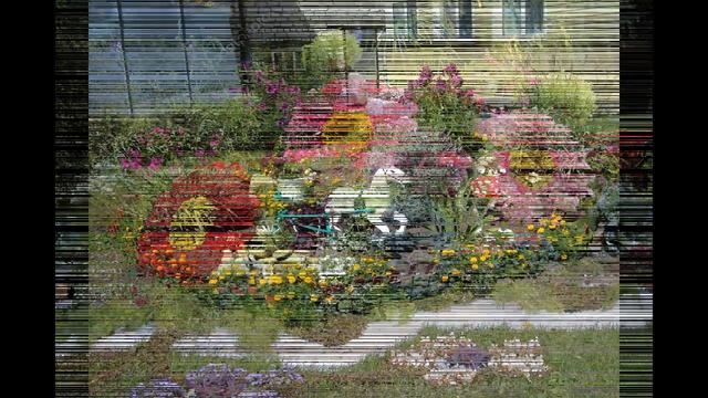 Цветы для Дачи и Двора Идеи как Сажать Невероятно Красиво смотреть онлайн