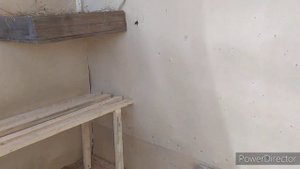 зимний курятник?. своими руками.