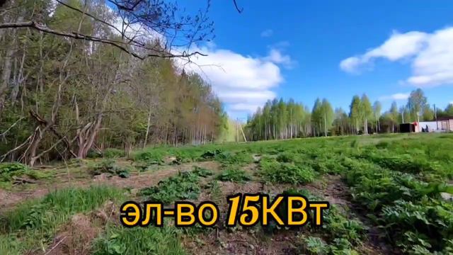 Деревня Третьяково