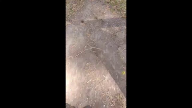 поездочка на ура👍🥰. Досмотри до конца 😱. Что случилось 🤯 смотреть онлайн