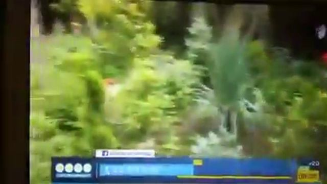 Yvavilebis bagi rustavshi смотреть онлайн