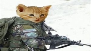 Хочу жить офигенно