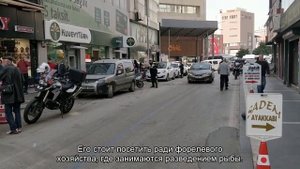 Куда поехать из Сочи на автомобиле: идеи для путешествия на один день
