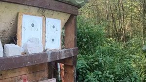 Эдган Леший 2. Джоуль с завода. Стреляем на пробитие разными пулями на одной настройке.