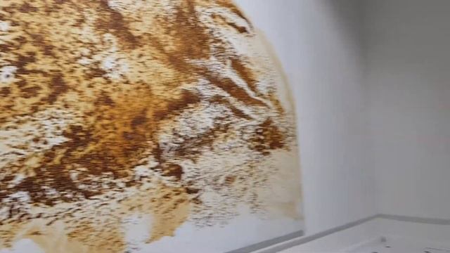 Выставка «Шляхі нямецкага мастацтва» в Минске (работы Герхарда Рихтера и Зигмара Польке) смотреть онлайн