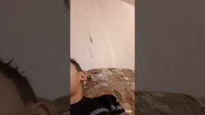 Я и окружающий мир: Каштаны, как различить съедобные  и несъедобные.