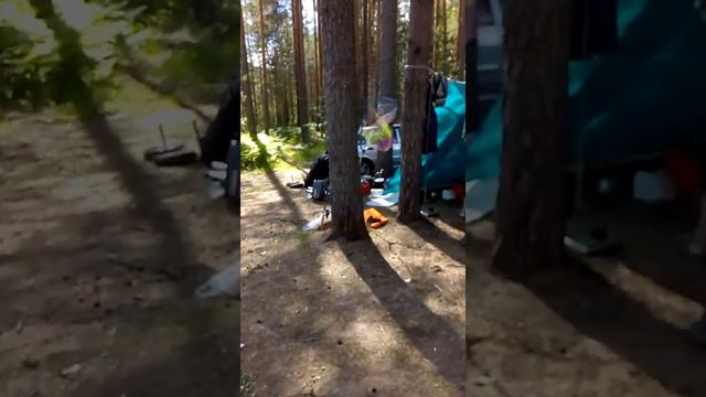 Рыбалка в Весьегонске