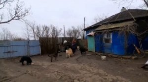 ВИТАЛИК И АНГЕЛИНА / РОДИТЕЛИ АНГЕЛИНЫ ЖИВУТ В КРАСНОДАРЕ