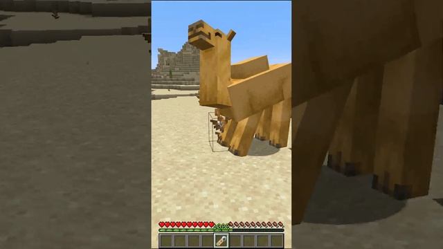 Нова Пасхалка з Верблюдом у 1.20! Таємниці Майнкрафта #shorts смотреть онлайн