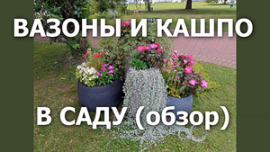 Кашпо и вазоны в саду (обзор)