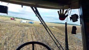 Уборка подсолнечника сорт подарожник 4.09.21 комбайн кейс 2388