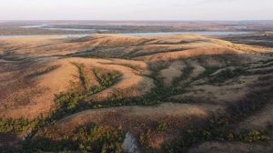 г. Калач-на-Дону, Волгоградская обл., Ведьмин клык