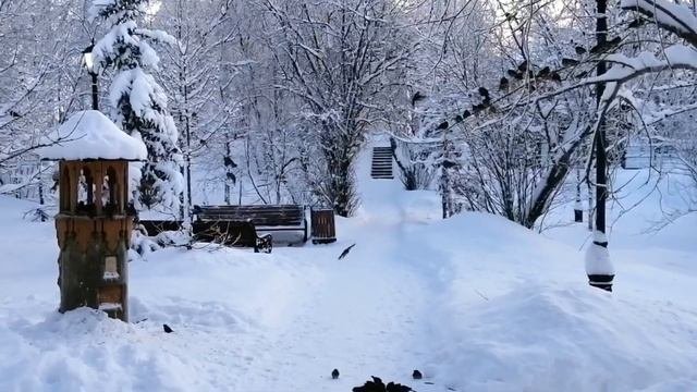 ?  По заснеженным дорожкам...