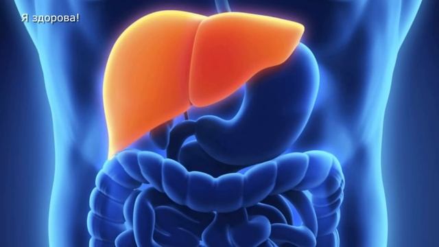 ЗАПОР . Пью Перед СНОМ и Хожу в ТУАЛЕТ Как Часы смотреть онлайн