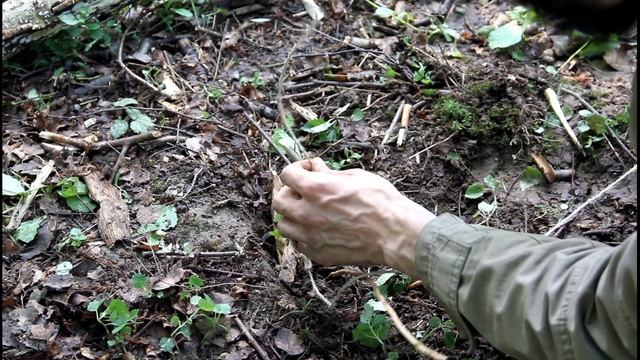 КАК СДЕЛАТЬ ЛОВУШКУ I Базовый вариант выдергивающей ловушки. смотреть онлайн