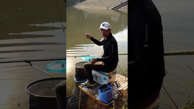 【鄧剛釣魚】黃柏洞水庫盤鰱鳙，老闆太囂張，給他狠狠上一課