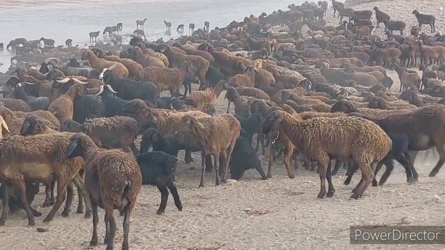 10 апреля 2022 г. смотреть онлайн