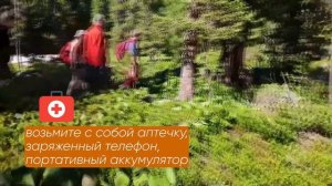 Безопасность в туристическом походе