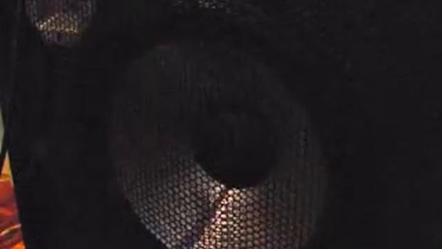 Caixa Behringer BA115 - Tweeter OFF смотреть онлайн