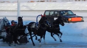 Конные бега троек (Московский ипподром)