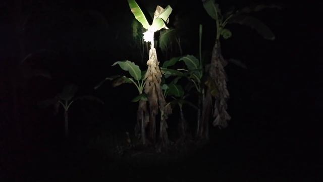 KAYA MO BANG TAPUSIN ANG VIDEO NA TO? Donzkie goshtv смотреть онлайн