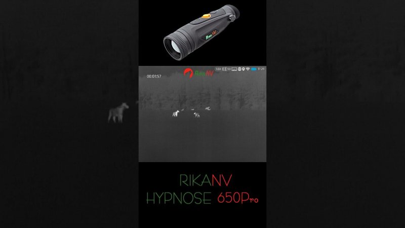 Охота на лося! Взгляд через тепловизор RikaNV Hypnose 650Pro. Охота в Беларуси.