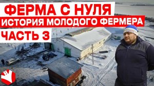 Молочная ферма с нуля | История молодого фермера | ЧАСТЬ 3 | КУЛЬТИВАТОР