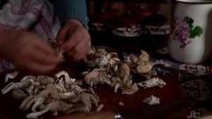 Перепела в томатном соусе   Азербайджанская Кухня Деревенская Кухня  Рецепты