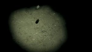 Ария - Осколок льда (2008