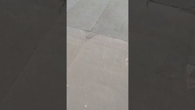 Ремонт рубероідної покрівлі смотреть онлайн