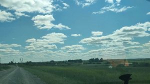 30 06  23 г  Зацвел массово донник в деревне