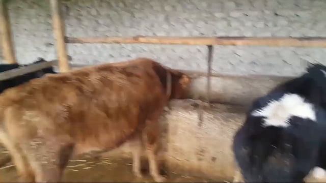 ОССОН МОЛ БОКИШ БИЗНЕСИ