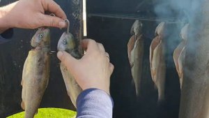Самый вкусный рецепт приготовления копчёной форели