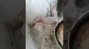 Как вытащить бак из водонагревателя