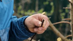 Самый правильный способ прививки за кору. СМОЖЕТ КАЖДЫЙ САДОВОД!