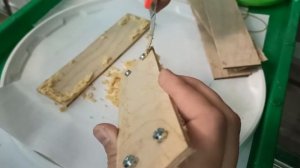 Сбор яиц чёрной львинки