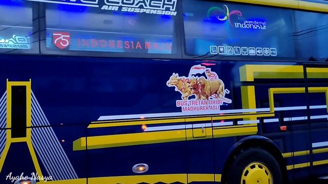 BUS PELARI MADURA STJ APOORVA & ALMUNA TRANS DUET MERCEDES-BENZ 1836 HUNTING BUS DI RM TITIN CARUBA