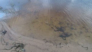 НЕОЖИДАННАЯ ГОСТЬЯ! Рыбалка в Беларуси. Рыбалка 2022