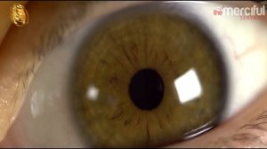 10 главных признаков Судного дня.