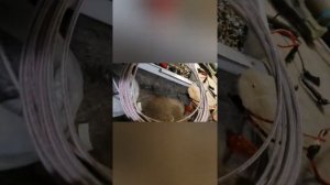 Фритюрница без кнопки