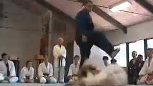 Запрещённые приемы Дзюдо JUDO