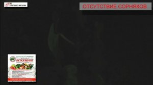 Агроперлит - свойства, сферы применения   полный обзор