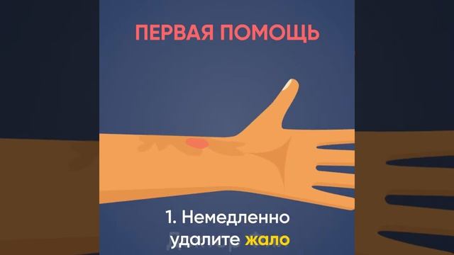 Первая помощь при укусе пчелы или осы смотреть онлайн