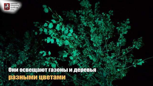 Разноцветная ландшафтная подсветка