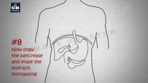 Easy way to draw human #digestive system | Life processes| NCERT class 10 | science | CBSE | biolog