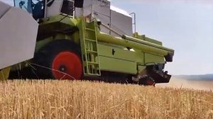 Афон,скит Новая Фиваида.