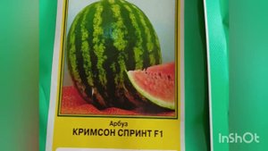 Подборка бахчевых для средней полосы #профессиональныесемена