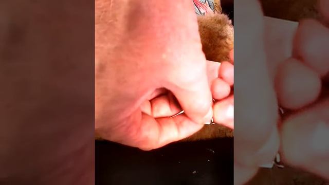 Точилка для ножа(рыболовного крючка) с сайта gearbest смотреть онлайн