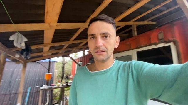 Баня из круглого бревна. Восстановление гнилого дерева. ДВ гектар. Освоение дв гектара