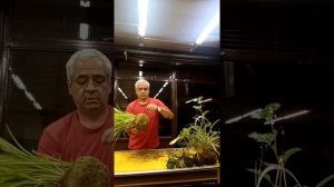 ! clase de kokedama con lazo de. amor !